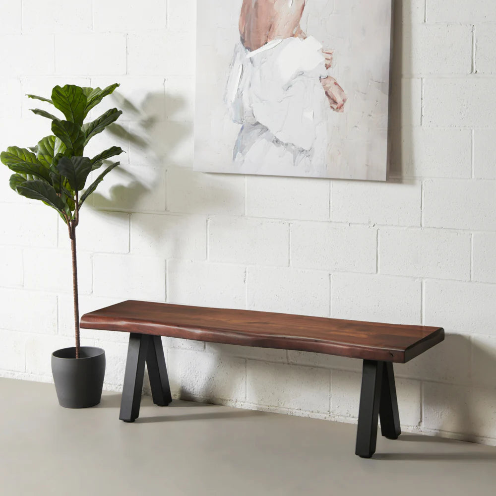 Acacia Live Edge Bench with Black Pyramid-Shaped Legs/Honey Color